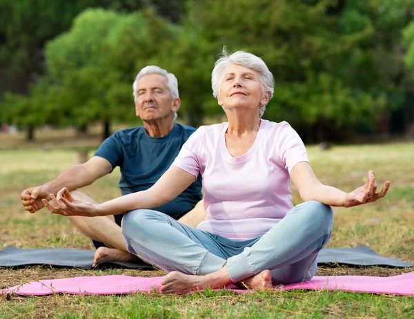 Cursos de Meditación
